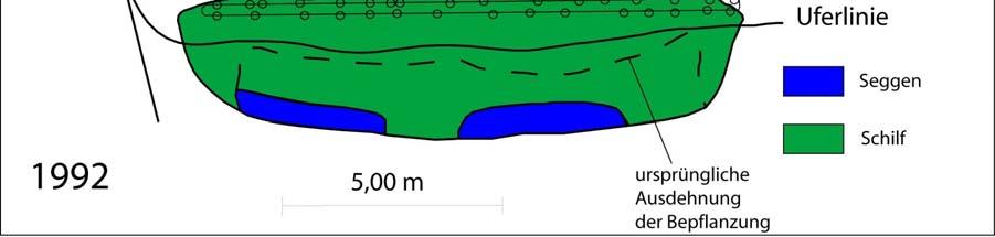 Beweidungsausschlusses entwickelt: Hier fand man eine ufertypische Vegetation, in unmittelbarer Ufernähe dominiert von Rohr-Glanzgras (Phalaris arundinacea); landseits schloss daran ein