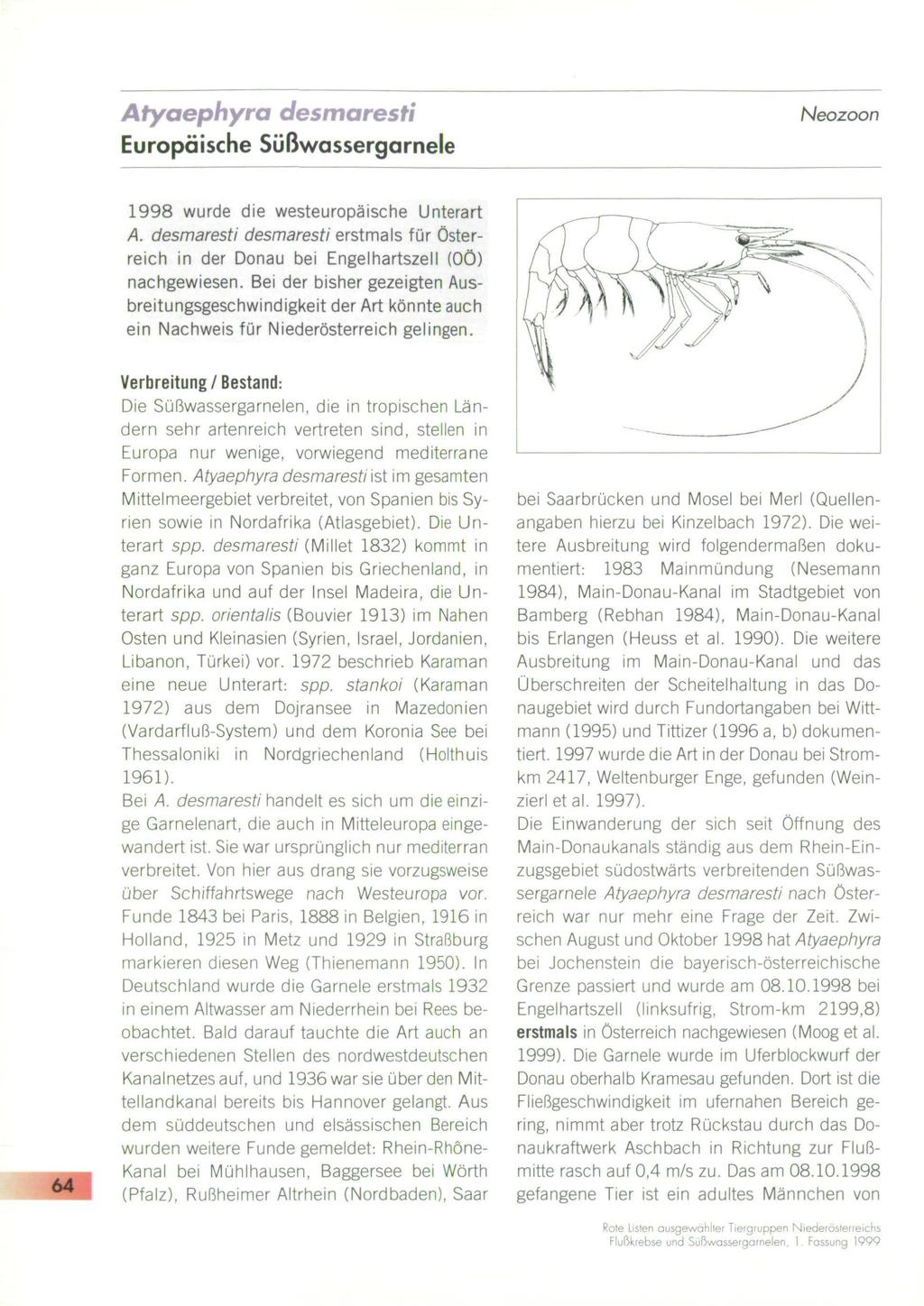 Atyaephyra desmaresti Europäische Süßwassergarnele Neozoon 1998 wurde die westeuropäische Unterart A. desmaresti desmaresti erstmals für Österreich in der Donau bei Engelhartszell (00) nachgewiesen.