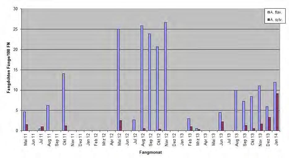 Abb. II-2: Monatliche Fangdichten von Gelbhals- und Waldmäusen im Zeitraum Mai 2011 bis Januar 2014 im gesamten Stadtgebiet von Hamburg Tab.