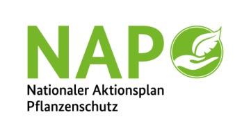 Rückblick und aktueller Stand NAP Sachstandsbericht 2013 bis 2016 Dr.