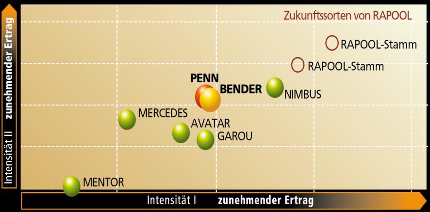 BENDER & PENN Hohe Aneignungs- und sehr hohe Verwertungseffizienz von Stickstoff bei 180 N/ha bei 120 N/ha Quelle: RAPOOL (D. Bornhöft, J.