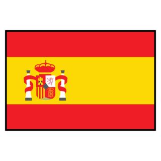 Der Text der spanischen Verfassung wurde von Menschen mit geistigen Behinderungen und Plena Inclusions Rechtsabteilung geprüft.