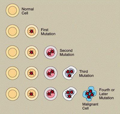 Molekulare Grundlagen Jeder maligne Tumor ist genetisch und physiologisch einzigartig Die genetischen