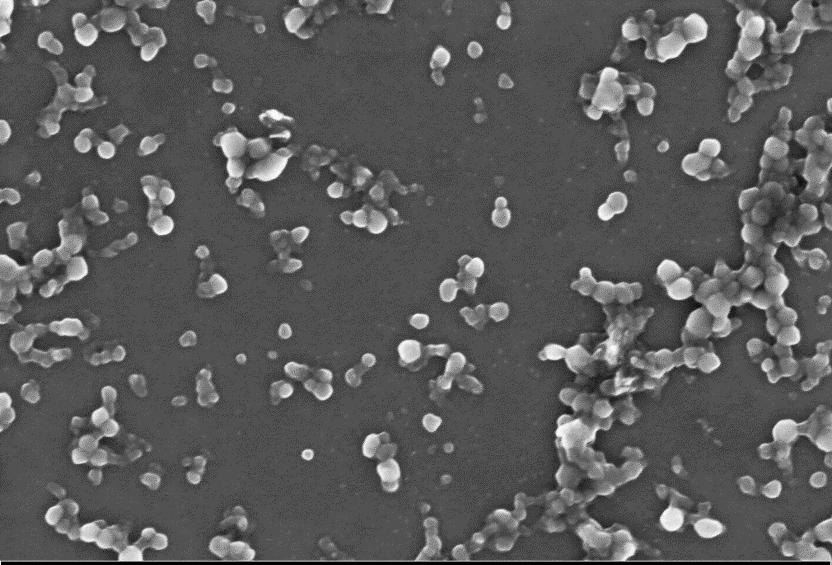 Charakterisierung der Nanopartikel Normalized absorbance (a.u.) 1.0 0.8 0.6 0.
