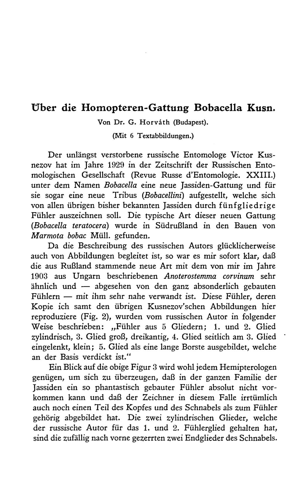 Über die Homopteren-Gattung Bobacella Kusn. Von Dr. G. Horvâth (Budapest). (Mit 6 Textabbildungen.