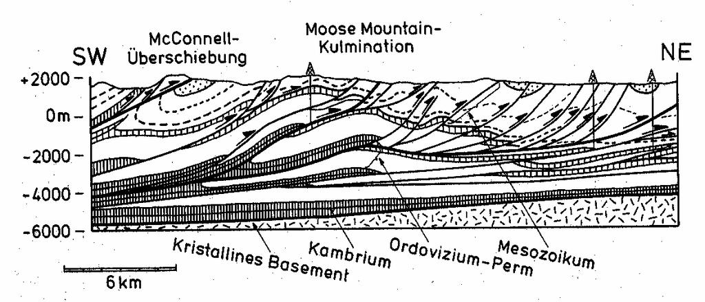 Profil durch die Moose-