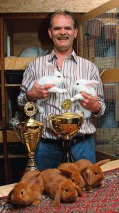 Trophäensammlung dank Karnickel Siegfried Lipka ist in seiner Freizeit Kaninchenzüchter und zwar ein sehr erfolgreicher Kaninchen sind keine Hasen, obschon sie oft als Stall- oder Zwerghasen