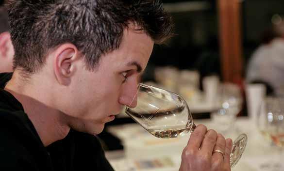 Starten Sie Ihre Wein-Ausbildung bei der besten* Weinschule der Schweiz!