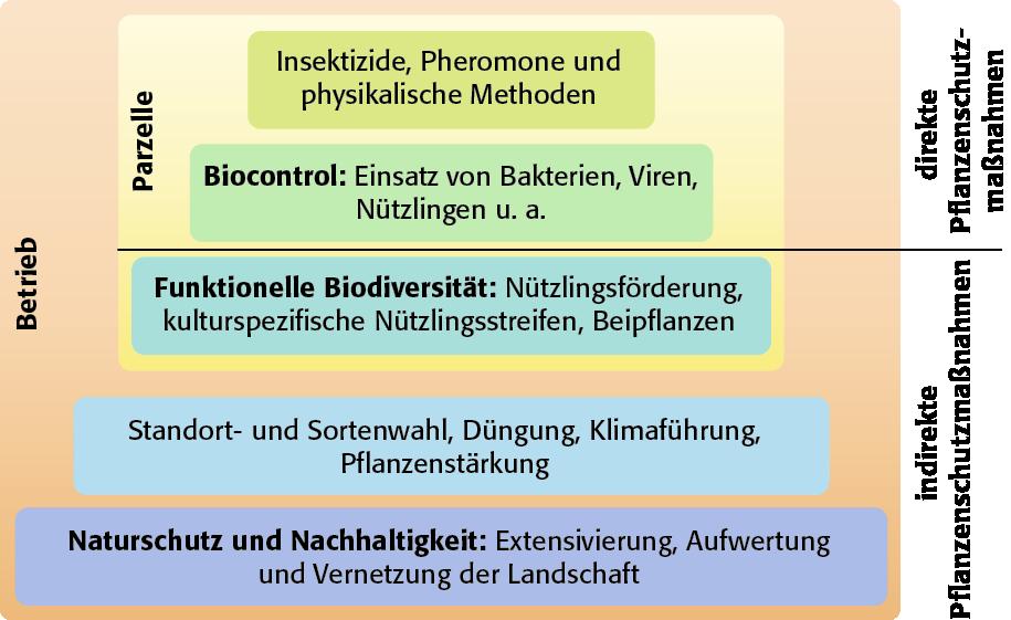 Pflanzenschutzpyramide zur biologischen Schädlingsbekämpfung Quelle: