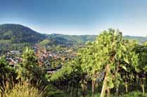 Das milde, sonnenverwöhnte Klima, eine abwechslungsreiche Landschaft, wie Sie sie vom Schwarzwald erwarten können, sowie eine ausgezeichnete Infrastruktur sind nur drei sehr gute Gründe für einen