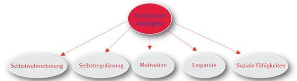Infoblatt Emotionale Intelligenz (für Trainer) Emotionale Intelligenz ist die Fähigkeit, Emotionen in Bezug auf sich selbst und andere Menschen wahrzunehmen, auszudrücken, zu verstehen und sinnvoll
