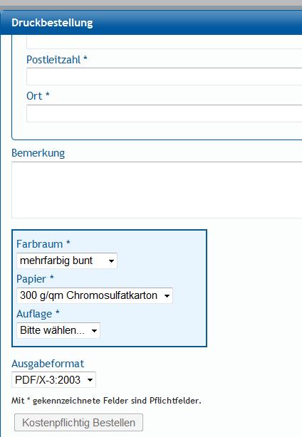 Direkt unter Ihren Datenfeldern können Sie die Details für den Druck angeben. Hier werden Ihnen auch die Preise angezeigt, wenn Sie die Mengen bzw Auflage eingegeben haben.