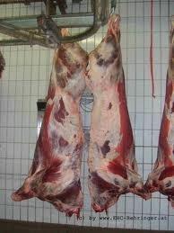 Dry Aged Beef Allgemeine Fleischreifung Reifedauer abhängig von Art, Qualität und Größe