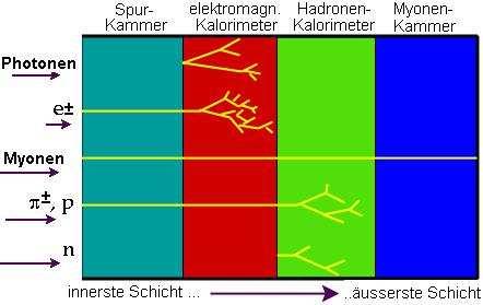 ..... kriegen wir euch (fast) alle Elektromagnetisches Kalorimeter (e,