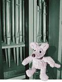 Kurz berichtet WICHTIGES IN KÜRZE TERMINE UND INFORMATIONEN AUS DER STADT WUNSIEDEL Lore in der Orgel -ein szenisches Konzert rund um die Orgel am Freitag, den 27.