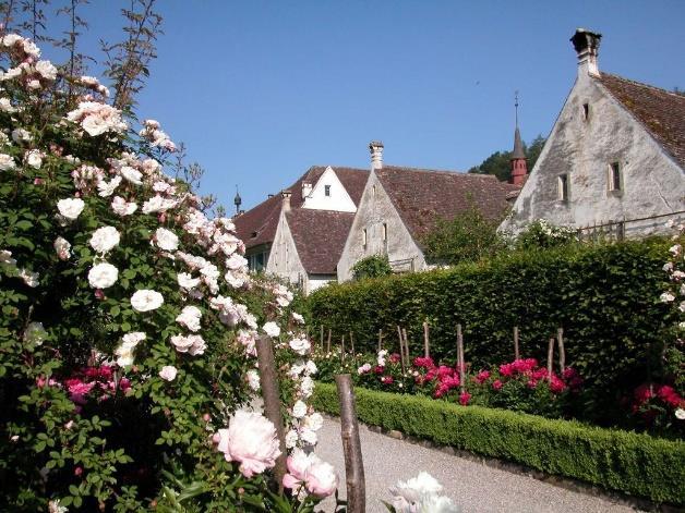 Naturfreunde Zollikofen Frauentag Freitag, 9. Juni 2017 Die Kartause Ittingen ist ein ehemaliges Kloster der Kartäuser bei der Gemeinde Warth-Weiningen, im Kanton Thurgau.