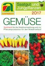 Gemüsesaatgut-, Kräuter-
