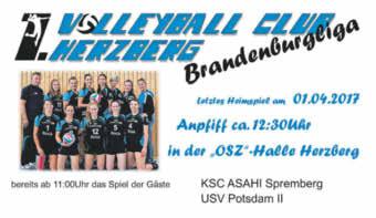 Schon im letzten Artikel haben wir Minilöwen gezeigt die in den letzten Jahren gewachsen sind und heute zu den Leistungsträgern des SV Herzberg, Abteilung Handball gehören.