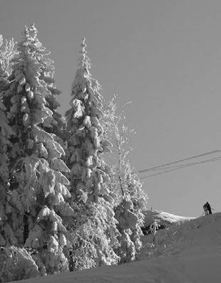 Clubzeitung Skiclub Oberegg 2012 Winterrückblick 2011/2012 Bericht des Präsidenten Liebe Skisportfreunde, geschätzte Leser Dieser Winter ist wie im Flug vorbei gegangen, irgendwie fehlen mir noch ein