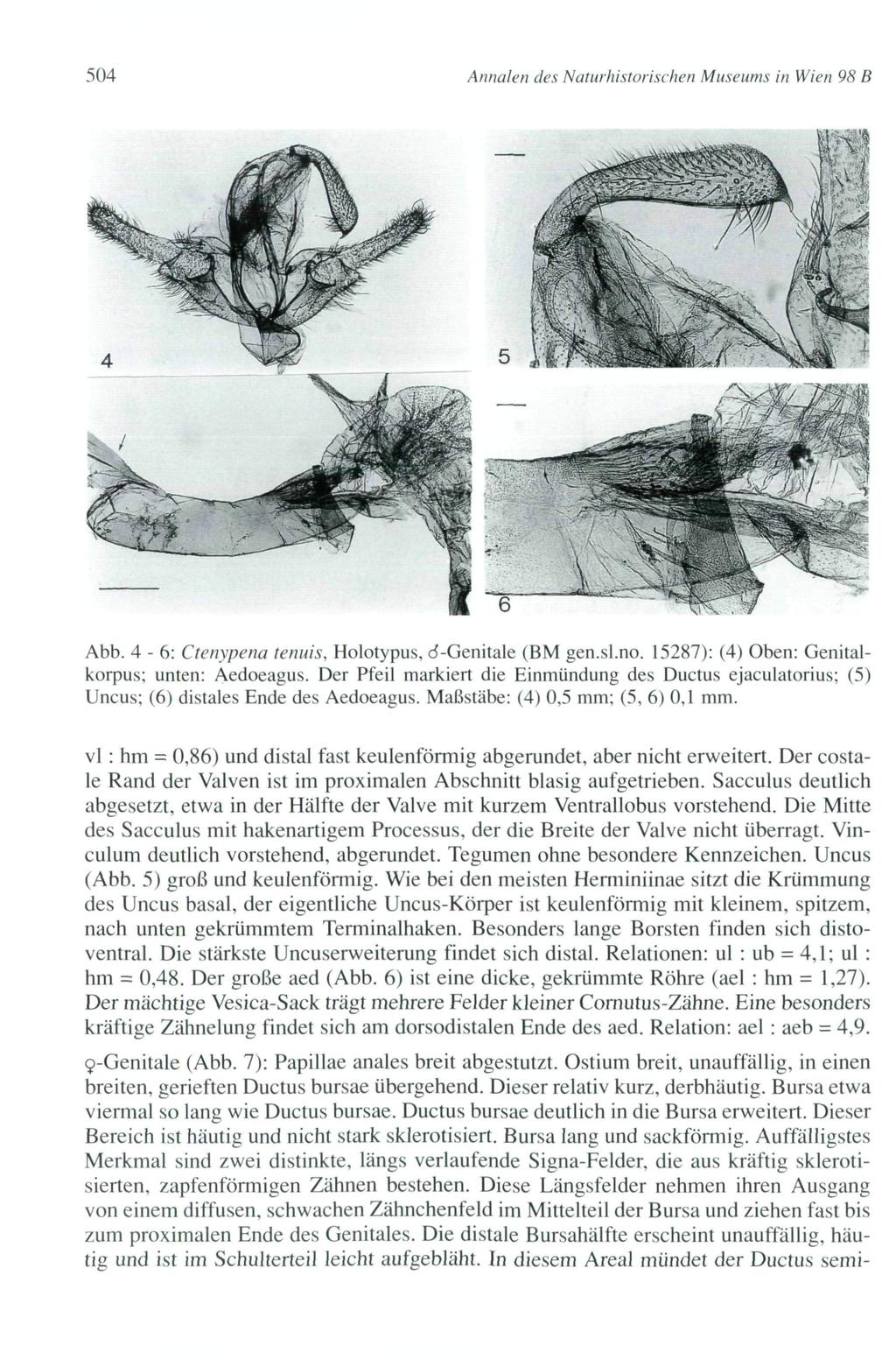 504 Annale» des Naturhistorischen Museums in Wien 98 B Abb. 4-6 : Ctenypena tennis, Holotypus, d-genitale (BM gen.sl.no. 15287): (4) Oben: Genitalkorpus; unten: Aedoeagus.