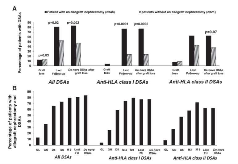 Transplantatverlust Nephrektomie Anstieg von v.a. HLA Klasse I-Antikörpern Fehlende in vivo