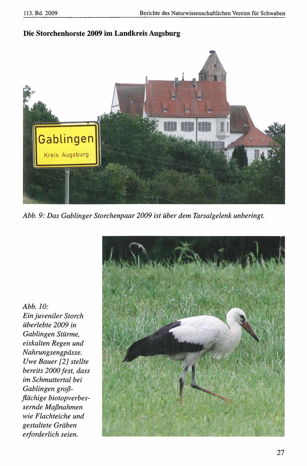 113. Bd. 2009 Naturwissenschaftlicher Verein für Schwaben, Berichte download des Naturwissenschaftlichen unter www.biologiezentrum.