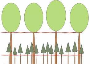 Vyjadruje relatívne zastúpenie jednotlivých druhov drevín poda plochy korunových projekcií stromov danej dreviny vzhadom k