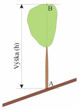 Obvodomer sa použije iba vo výnimoných prípadoch: pri vemi hrubých stromoch, presahujúcich merací rozsah priemerky, pri stromoch, ktorých prieny prierez vo výške 1,3 m je vemi nepravidelný (oválny) a