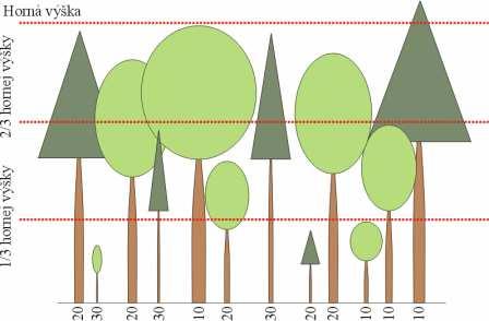 Základnými znakmi pre hodnotenie sú: výška stromu, momentálna vitalita a rastová tendencia stromu. a) Výškové postavenie stromu (obrázok 13.10a) 100 Horná vrstva.
