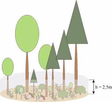 Poda toho na koko % sa lesný porast na IP približuje k ideálnemu stavu ekologickej stability, zaradí sa do jednej z nasledujúcich 5 tried: 1 Stabilný ekosystém (80-100%) stály a odolný, s nezníženou