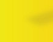 Kombinationsmöglichkeiten, bandverzinkt, mit Stegrost Zubehör Produktserie Stegrost verzinkt Gitterrost verzinkt Stegrost Gitterrost Klassik Endlos Terra Gründachschacht Intensivbegrünung Retention