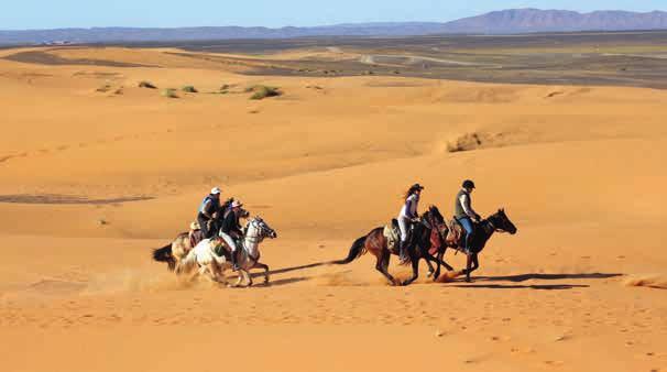 Marokko Reiter-Reise-Träume... Peru Kroatien Tansania.