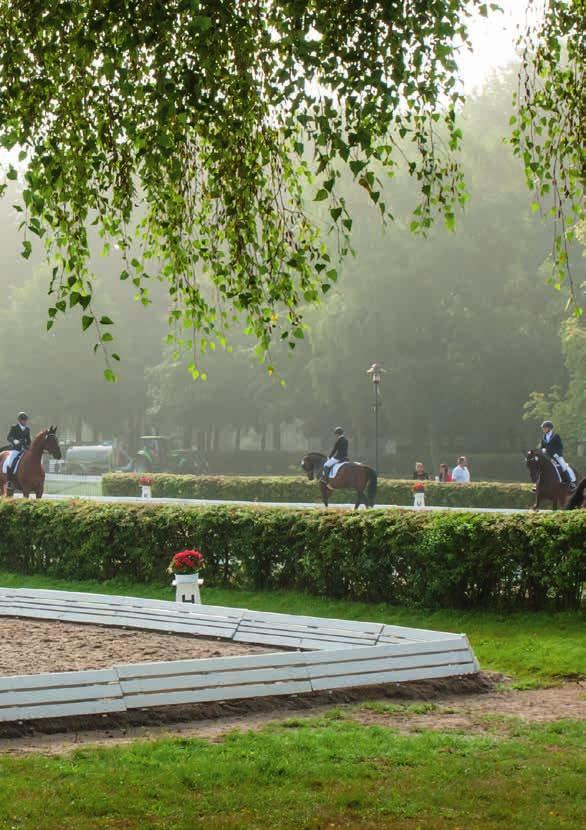 in Verden Wie im vergangenen Jahr richtet der Pferdesportverband Hannover parallel zur Verdener Auktion am 13. und 14.