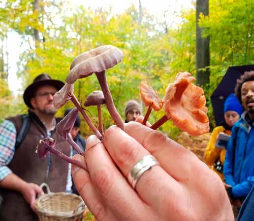Pilzwanderung in Neuhäusgen Im Oktober letzten Jahres hat die Native Village Gruppe eine Pilzwanderung organisiert.