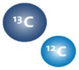 Einheiten von Isotopenanalysen Isotopenverhältnisse werden in angegeben Probe x 1000 Standard 1 (Unterschied gegenüber einem internationalen Standard; in Tausendstel) 0 =1,11% (Standard) 1000 = 2,20