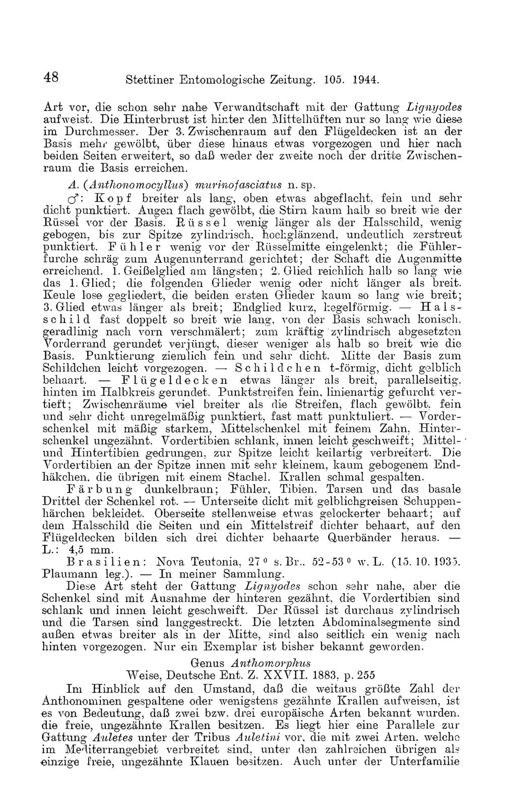 4 8 Stettiner Entomologische Zeitung. 105. 1944. Art vor, die schon sehr nahe Verwandtschaft mit der Gattung Lignyodes anfweist.