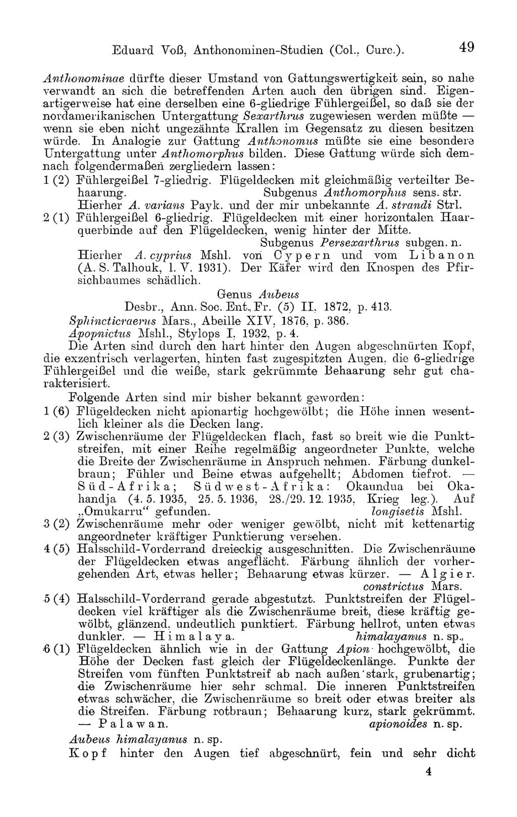 Eduard Voß, Anthonominen-Studien (Col., Cure.). 4 9 Anihonominae dürfte dieser Umstand von Gattungswertigkeit sein, so nahe verwandt an sich die betreffenden Arten auch den übrigen sind.