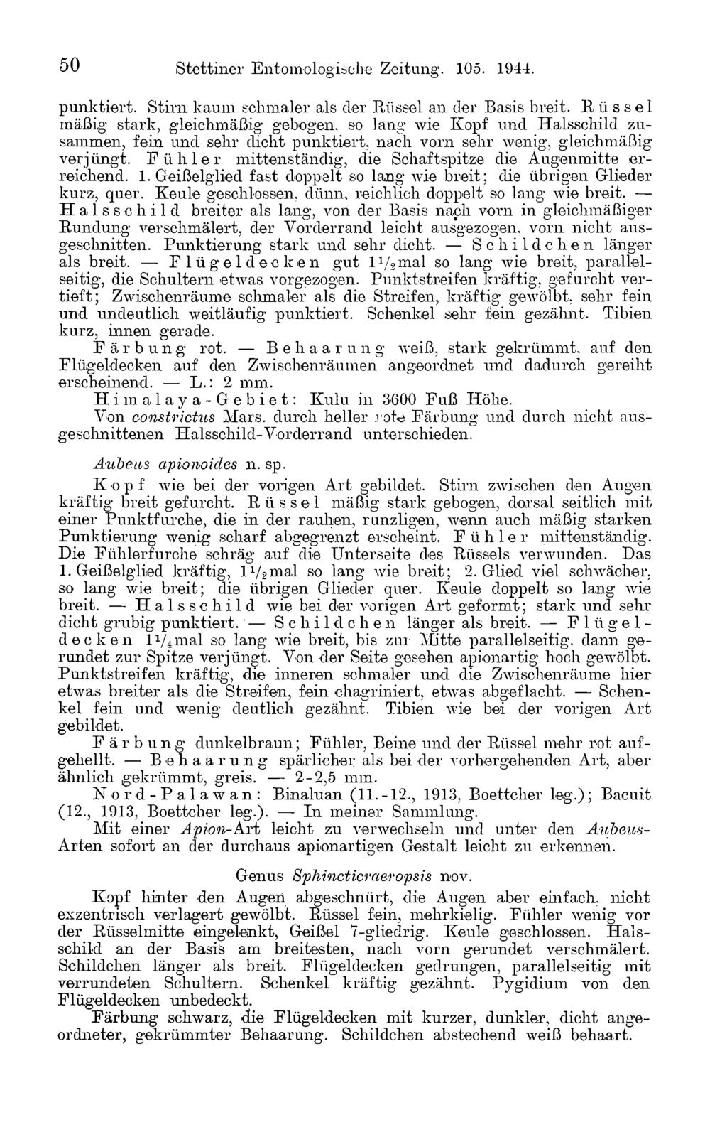 50 Stettiner Entomologisehe Zeitung. 105. 1944. punktiert. Stirn kaum schmaler als der Rüssel an der Basis breit.