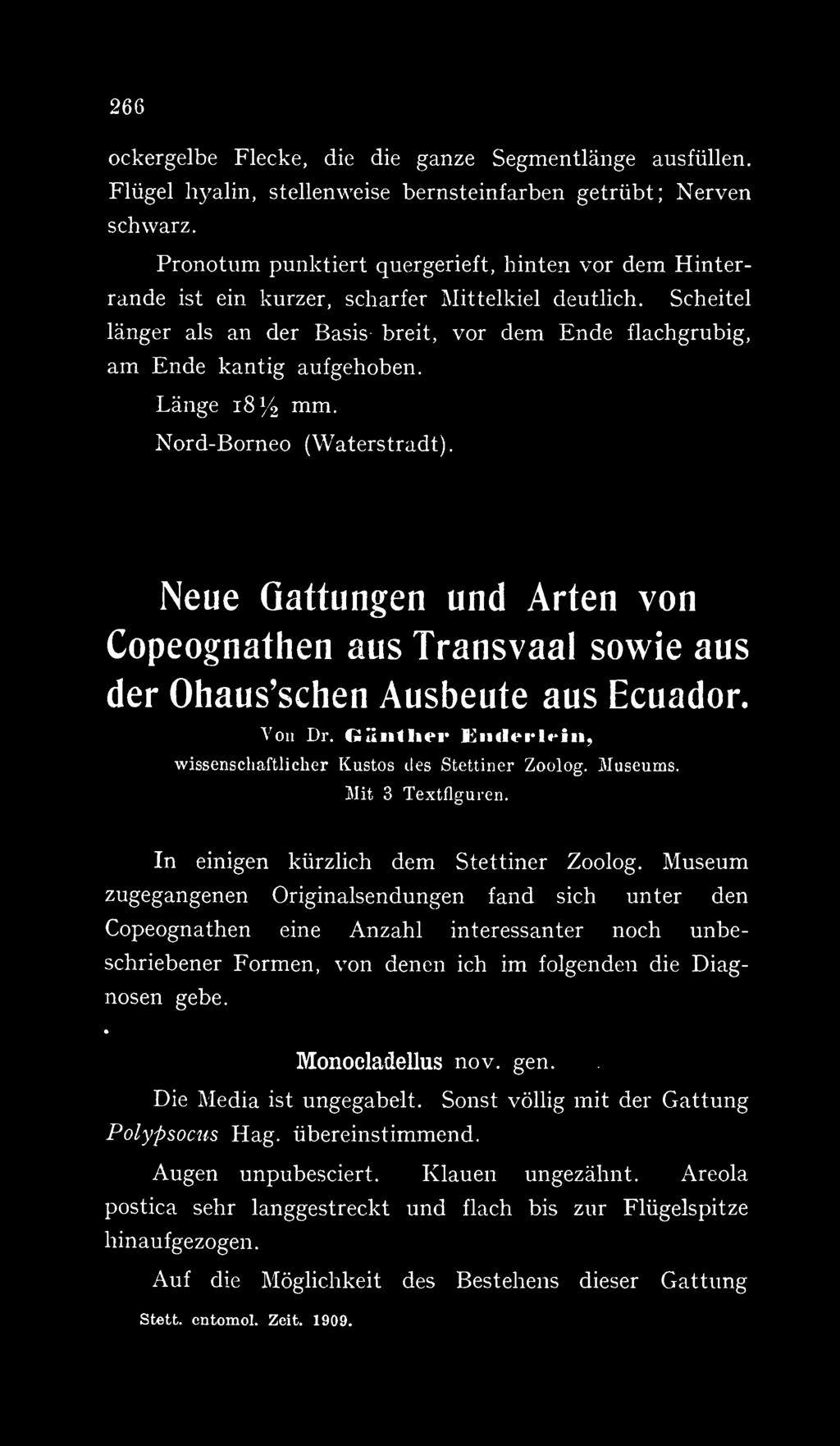 Länge 18 Y^ mm. Nord-Borneo (Waterstradt) Neue Gattungen und Arten von Copeognathen aus Transvaal sowie aus der Ohaus'schen Ausbeute aus Ecuador. Von Br.