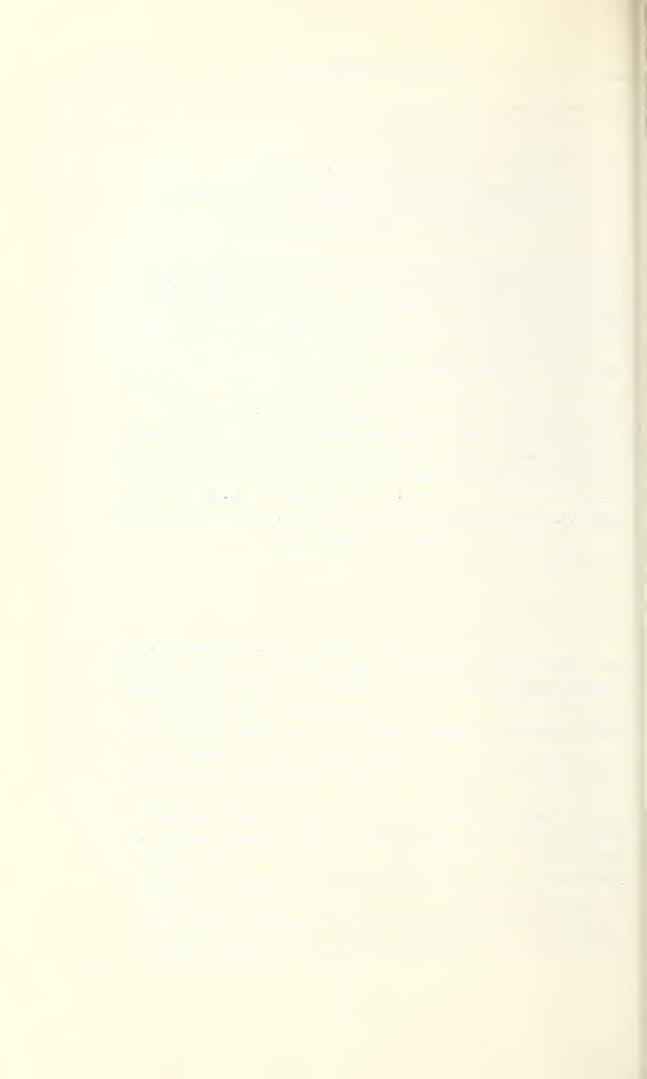 156 K. E. Schedl: Fauna Mexicana II (Col.) Fauna Mexicana II (Col.) 216. Beitrag zur Morphologie und Systematik der Scolytoidea Von Karl E.