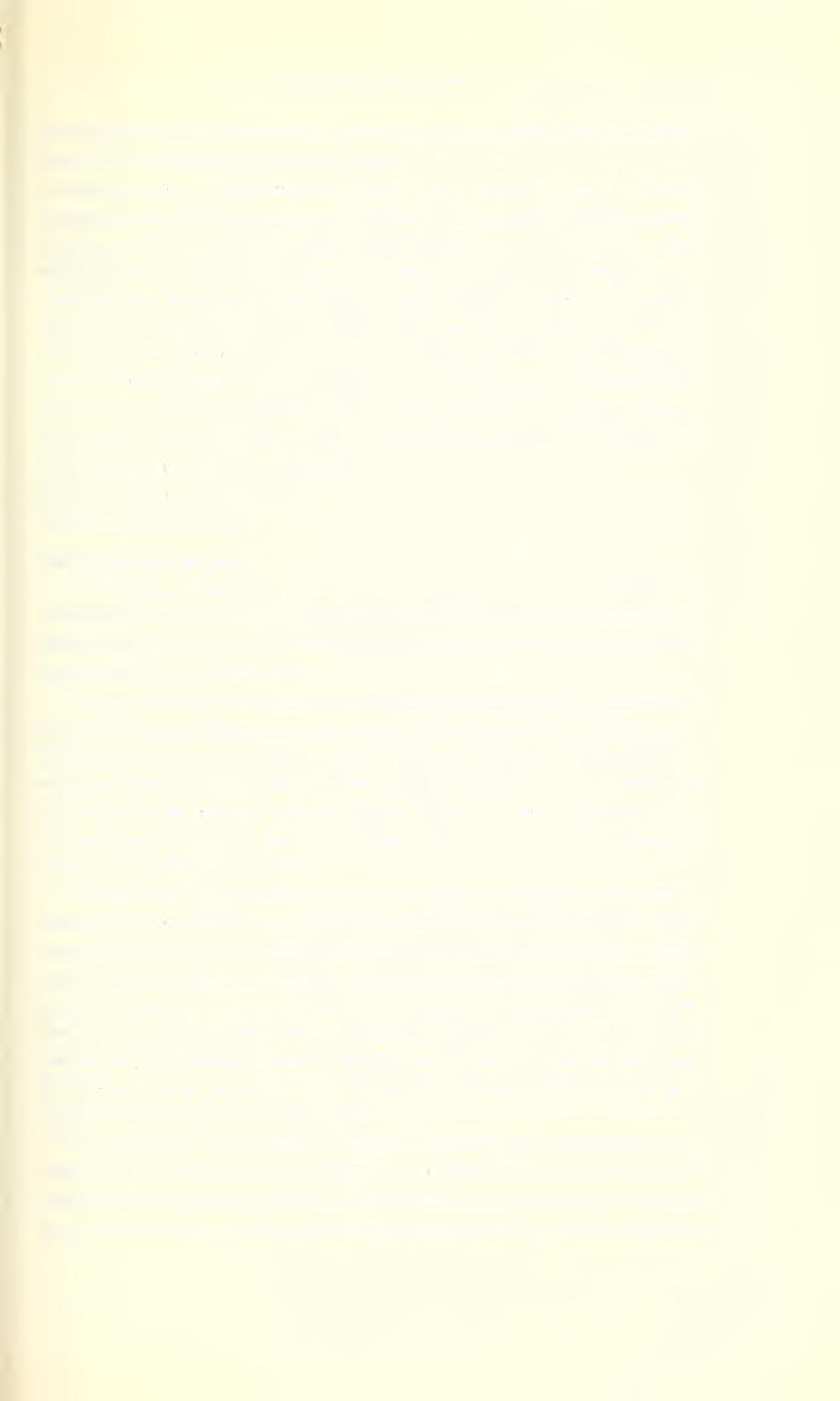 Ent. Arb. Mus. Frey 14, 1963 165 feinen, zerstreut angeordneten Punkten, einige kurze Börstchen im vorderen Drittel. Schildchen sehr groß und glatt.