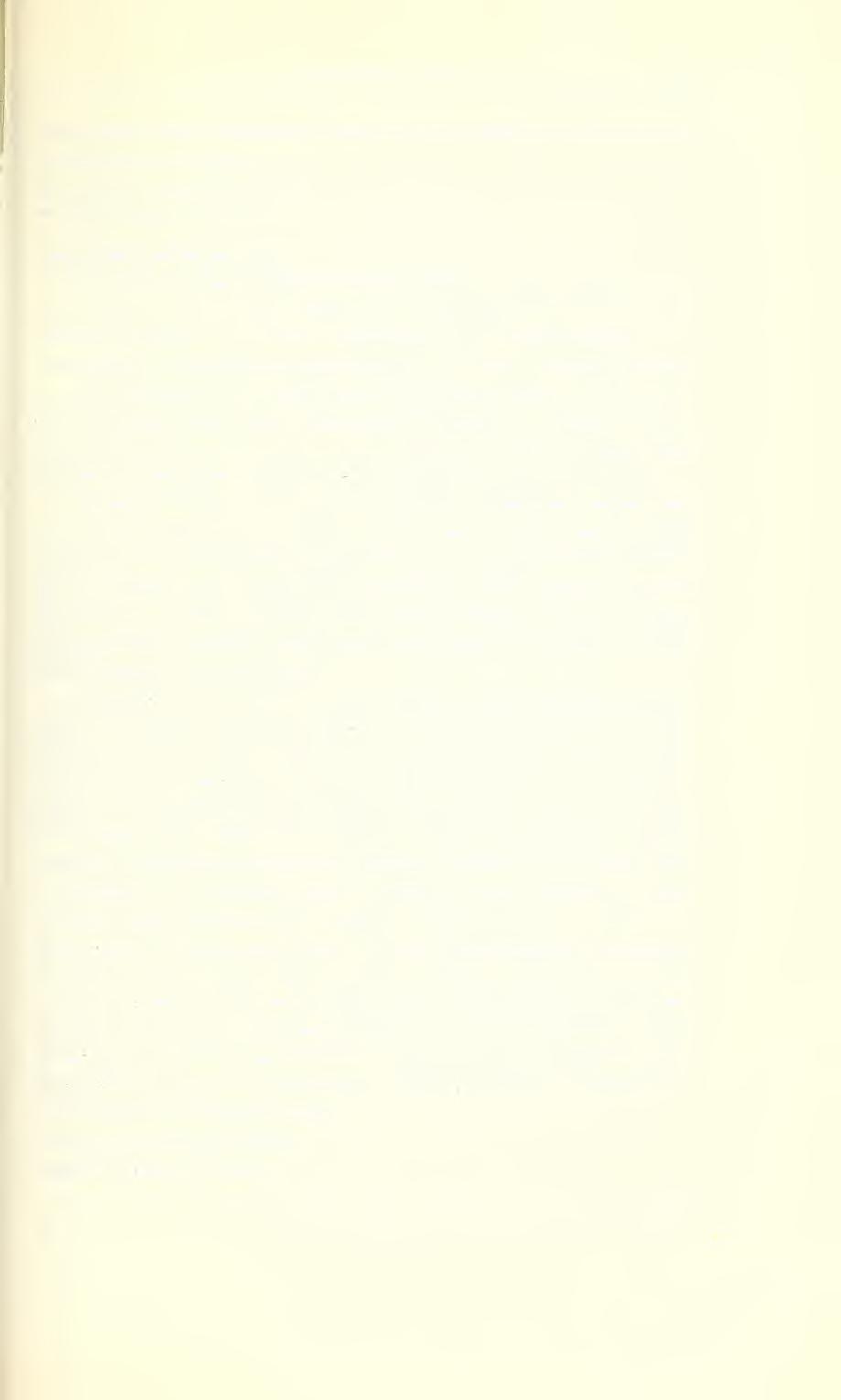 Ent. Arb. Mus. Frey 14, 1963 167 druck tragen lange abstehende Haare, die Punkte seitlich der Randkante des Eindruckes etwas kürzer. Holotype in Sammlung Schedl. Fundort: Mexico: Cordoba.