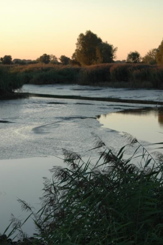 Übergeordnetes Ziel: Zukunftsperspektive Tideems Eine Verbesserung des ökologischen Gewässerzustands der Tideems Teilziele: Erhöhung der Akzeptanz für Renaturierungsmaßnahmen in der Emsregion
