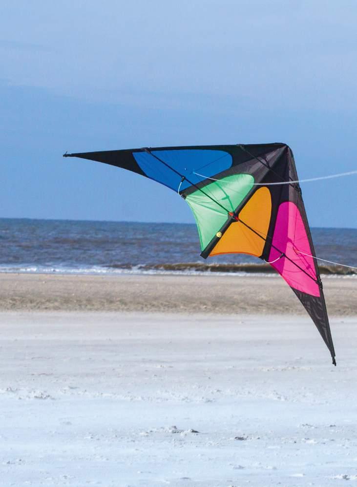 Maldrachen Einleinerdrachen von Wolkenstürmer Creative Kite Diamant 