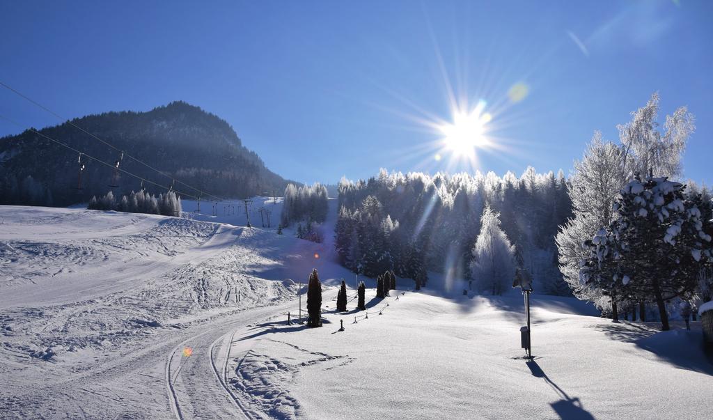 Der Lärchenhof-Kogel wird auch als beliebter Trainingshang von Top-Weltcupathleten, wie dem deutschen Ski-Team rund um Felix Neureuther und Fritz Dopfer als auch von der österr.