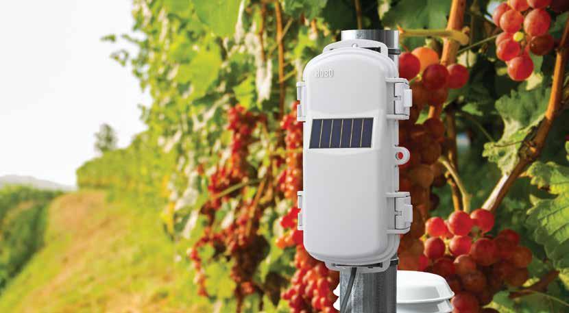 Protect Your Crops and Reduce Cost The HOBOnet Field Monitoring System helps growers reduce water use, save costs, improve crop quality, and protect
