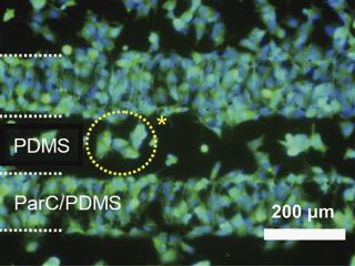 Micro- and nanofluidics: