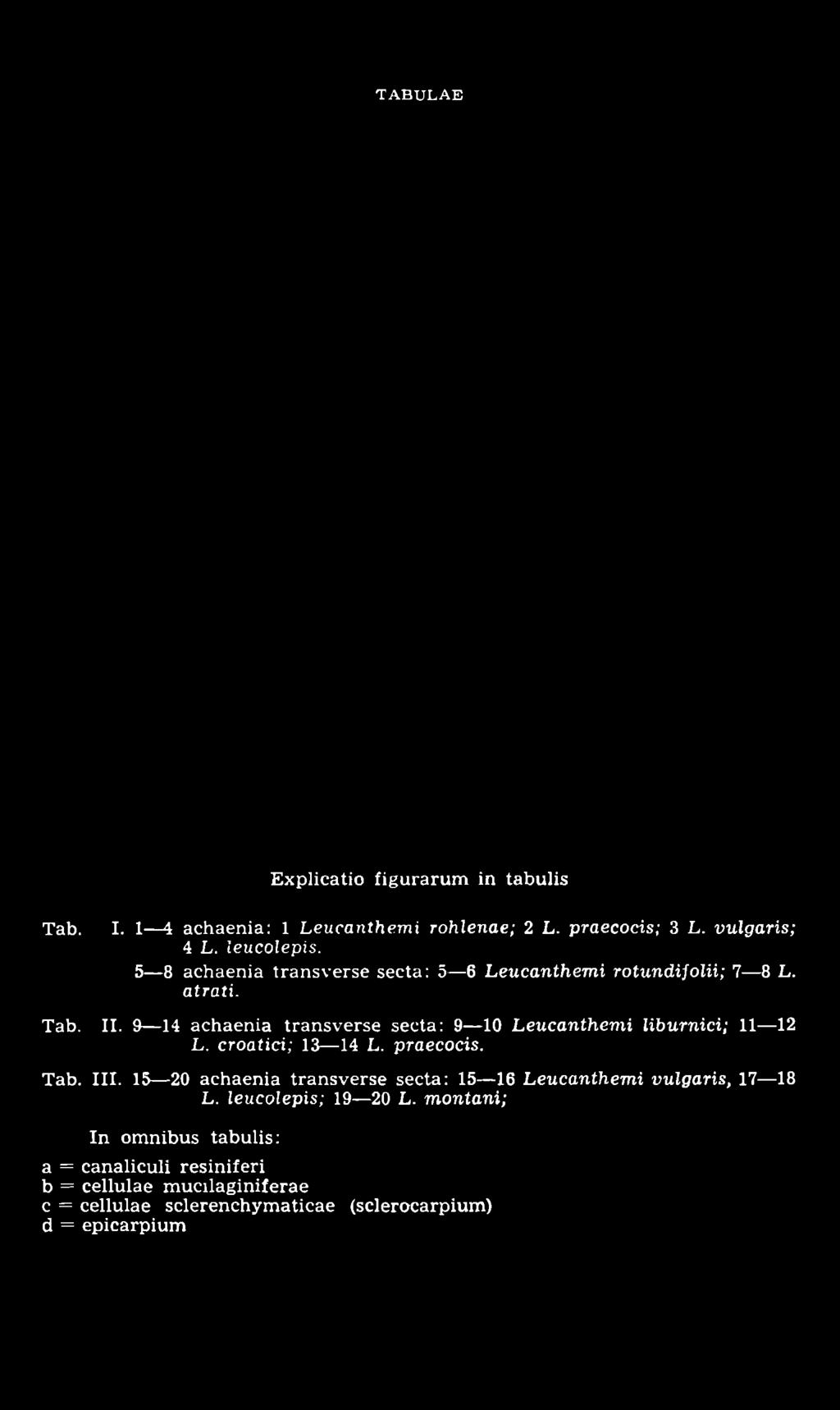 TABULAE Tab. Explicatio figurarum in tabulis I. 1 4 achaenia: 1 Leucanthemi rohlenae; 2 L. praecocis; 3 L. vulgaris; 4 L. leucolepis.
