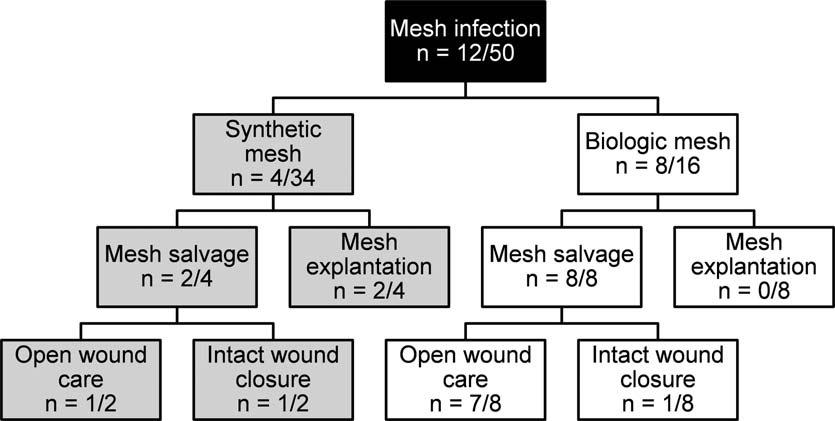 Diagnosesicherung der Netzinfektion (bei Inkarzeration: repair
