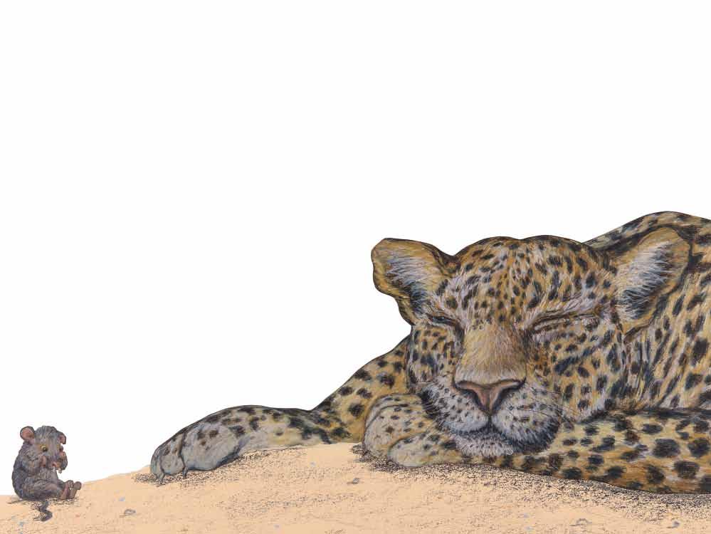 Ganz sicher Leoparden schlafen gern. Und Rigo war ein Leopard. Genauer gesagt: Ein Zoo-Leopard. Im Zoo schläft man normalerweise recht gut. Vielleicht besser noch als in Freiheit.